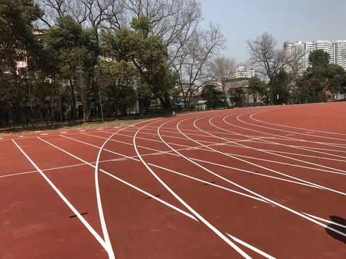 塑膠跑道類型對比 預制型跑道卷材的優勢與應用