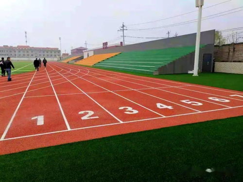 《學(xué)校運(yùn)動場地合成材料面層推薦目錄（2021-2022）》產(chǎn)品展播 塑膠場地預(yù)制型跑道卷材
